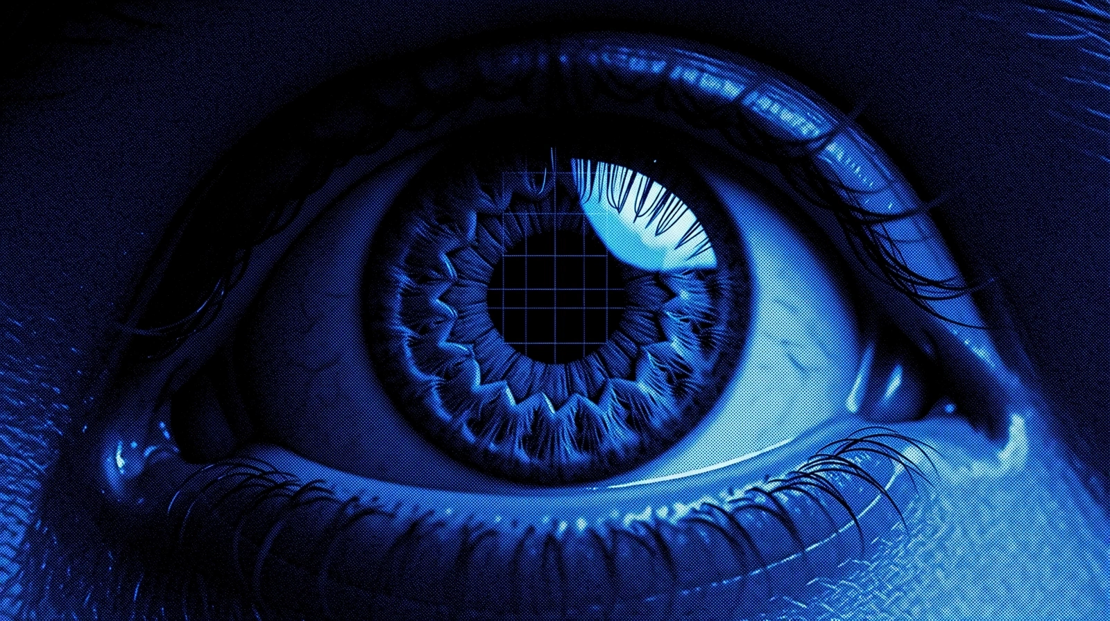 Digitálna stopa a biorytmus