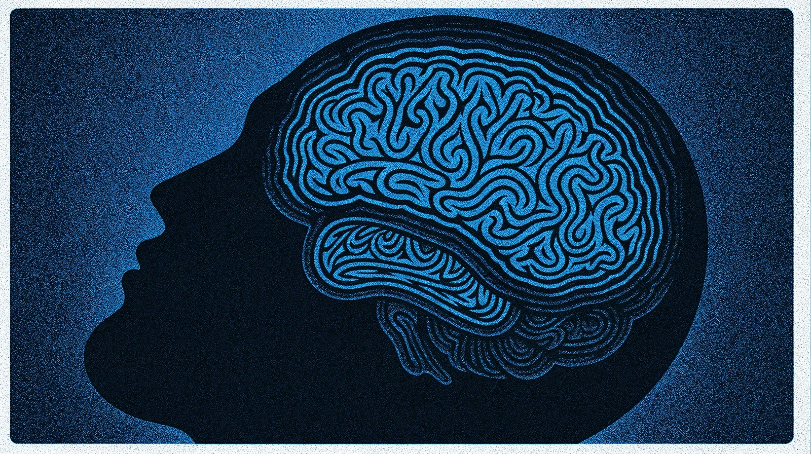 Abstraktný pohľad na biorytmus